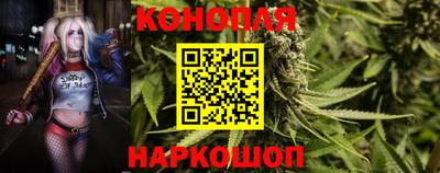 крисы Апшеронск