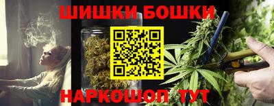 крисы Апшеронск