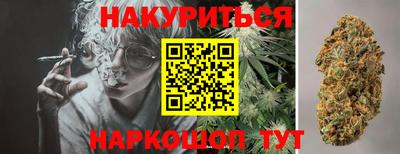 крисы Апшеронск