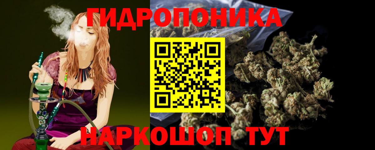 Каннабис Bruce Banner  Конопля THC 21%  Благодарный  Бошки марихуана Bruce Banner  Вход с VPN 